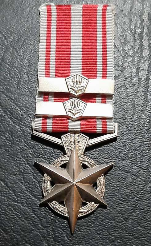Border War 1970s:  SA Security Forces .925 Silver " Combatting Terrorism Star " Medal w/ Service Bar