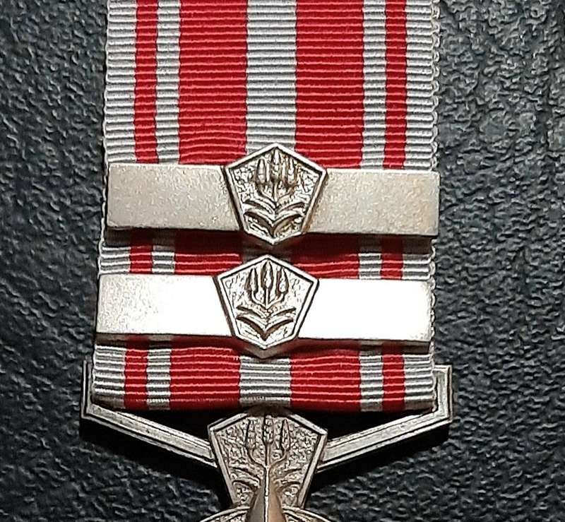 Border War 1970s:  SA Security Forces .925 Silver " Combatting Terrorism Star " Medal w/ Service Bar