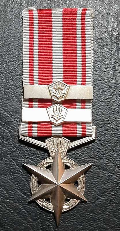Border War 1970s:  SA Security Forces .925 Silver " Combatting Terrorism Star " Medal w/ Service Bar