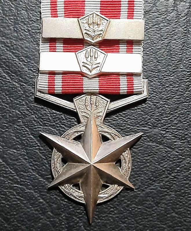 Border War 1970s:  SA Security Forces .925 Silver " Combatting Terrorism Star " Medal w/ Service Bar
