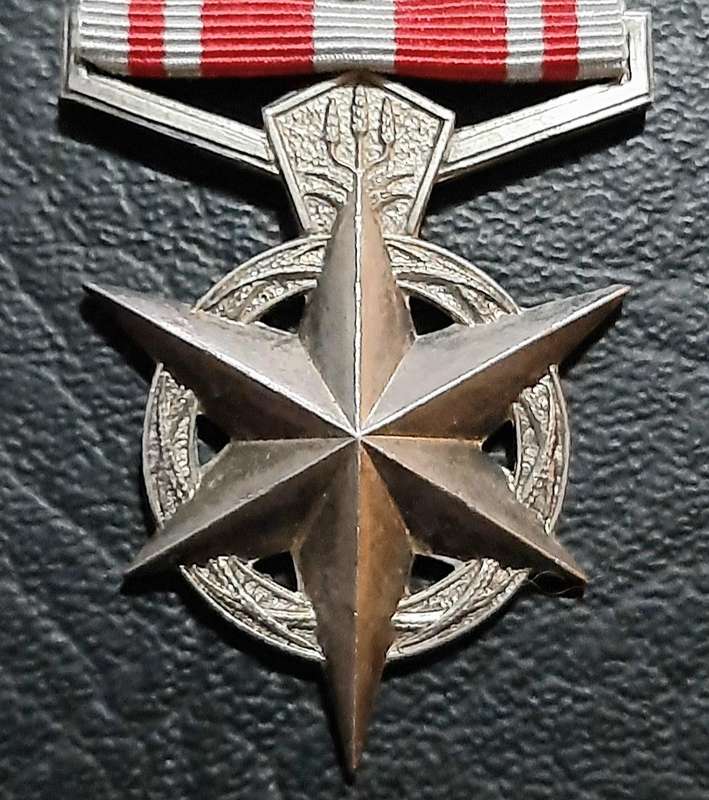 Border War 1970s:  SA Security Forces .925 Silver " Combatting Terrorism Star " Medal w/ Service Bar