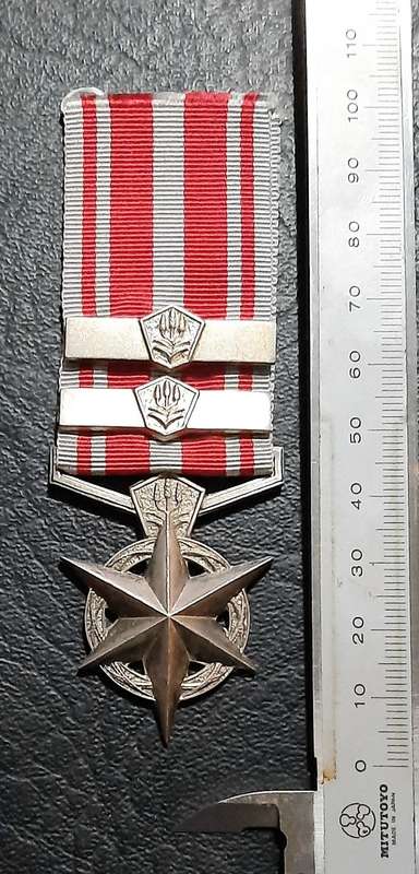 Border War 1970s:  SA Security Forces .925 Silver " Combatting Terrorism Star " Medal w/ Service Bar