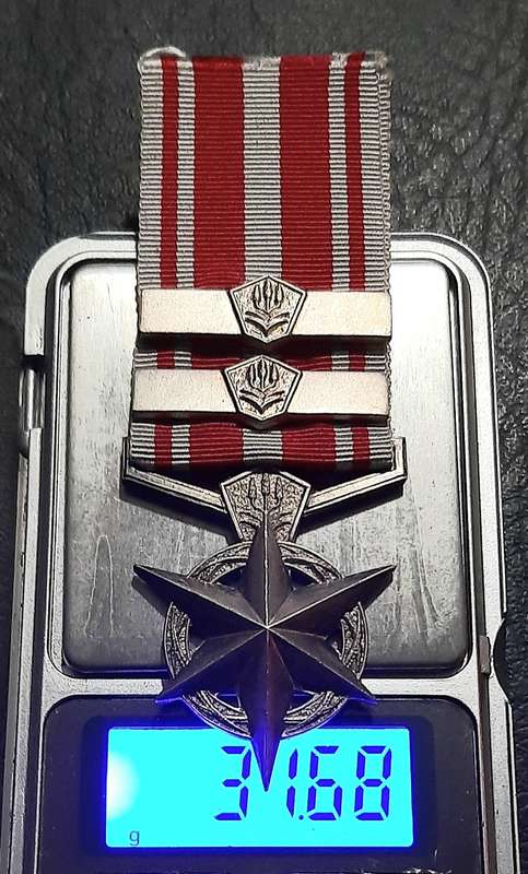 Border War 1970s:  SA Security Forces .925 Silver " Combatting Terrorism Star " Medal w/ Service Bar