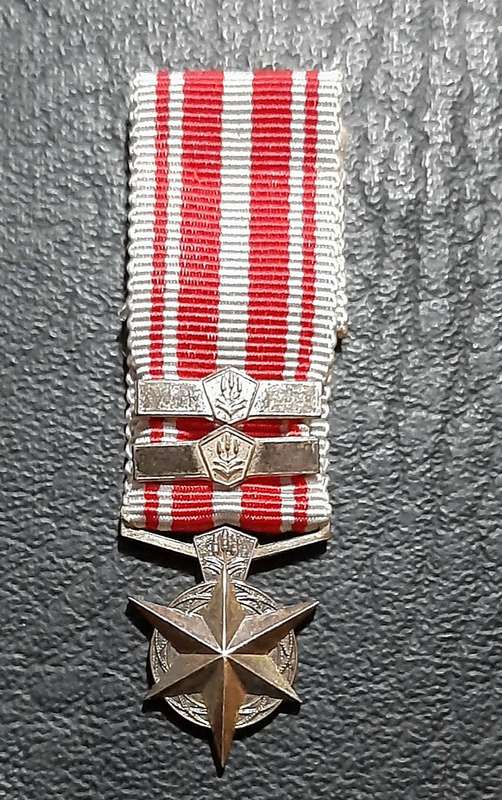 RARE: SA Security Forces  Silver Miniature ' Star for Combatting Terrorism ' Medal w/ Service Bars