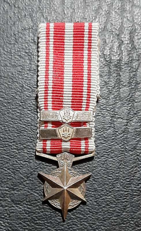 RARE: SA Security Forces  Silver Miniature ' Star for Combatting Terrorism ' Medal w/ Service Bars