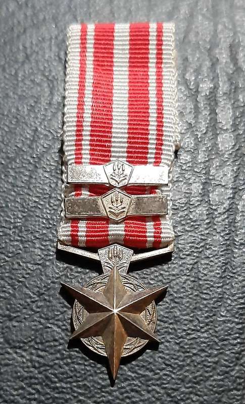 RARE: SA Security Forces  Silver Miniature ' Star for Combatting Terrorism ' Medal w/ Service Bars