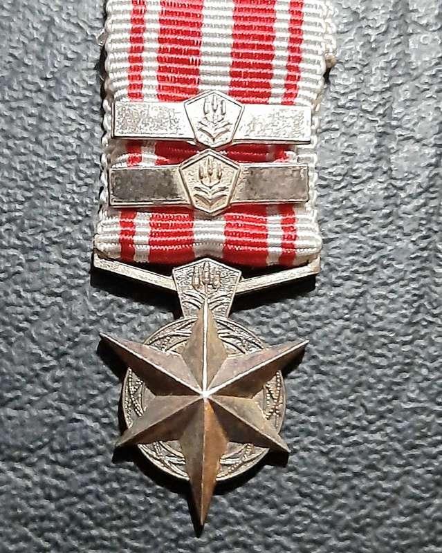 RARE: SA Security Forces  Silver Miniature ' Star for Combatting Terrorism ' Medal w/ Service Bars