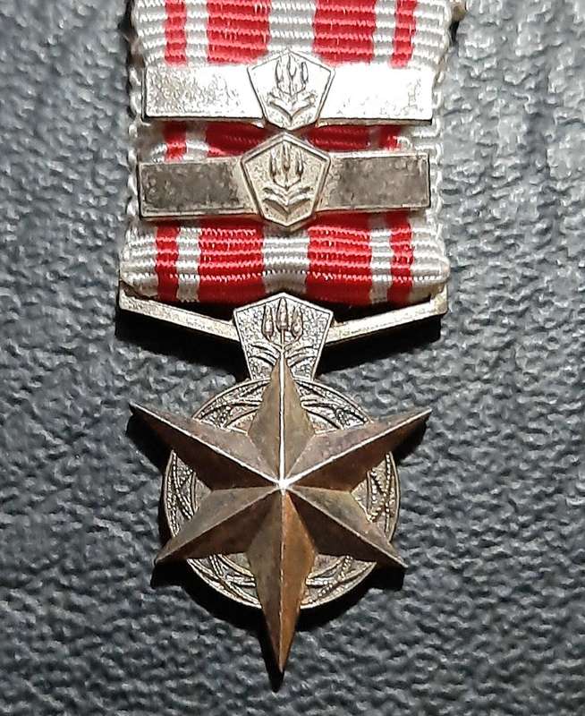 RARE: SA Security Forces  Silver Miniature ' Star for Combatting Terrorism ' Medal w/ Service Bars