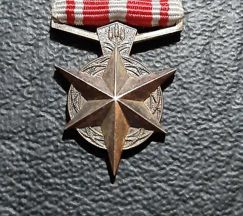 RARE: SA Security Forces  Silver Miniature ' Star for Combatting Terrorism ' Medal w/ Service Bars