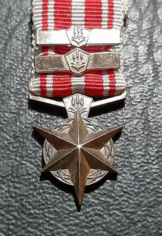 RARE: SA Security Forces  Silver Miniature ' Star for Combatting Terrorism ' Medal w/ Service Bars