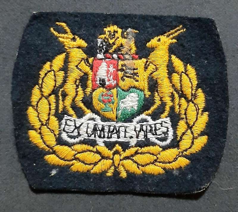 Border War: 1980s SADF - Warrant Officer Class I Step-Out Embroidered Rank Insignia (x2).