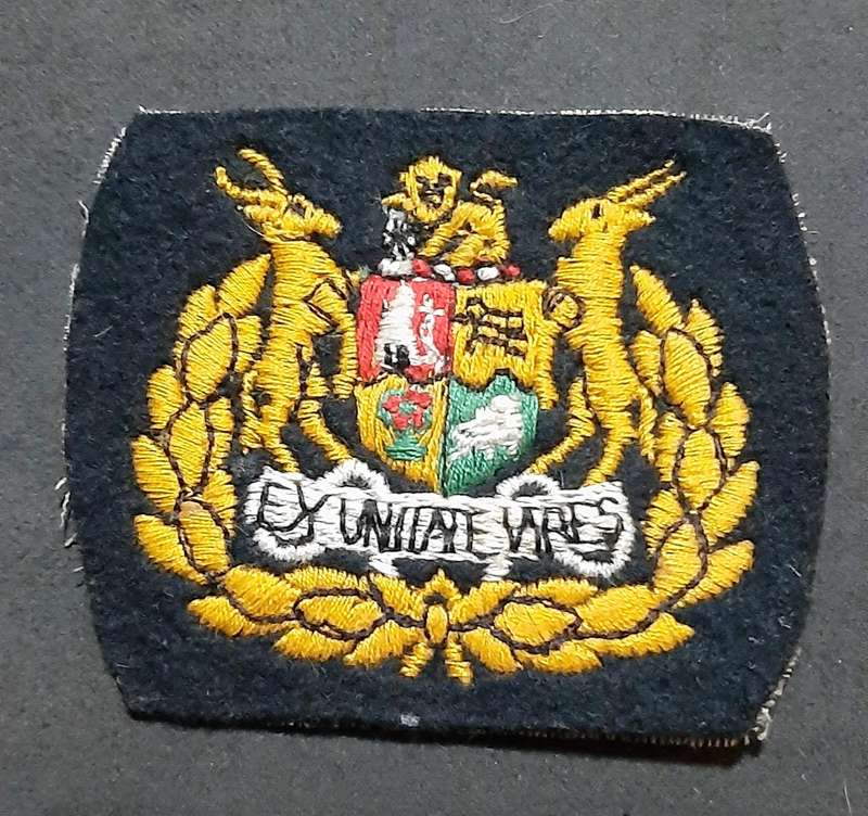 Border War: 1980s SADF - Warrant Officer Class I Step-Out Embroidered Rank Insignia (x2).