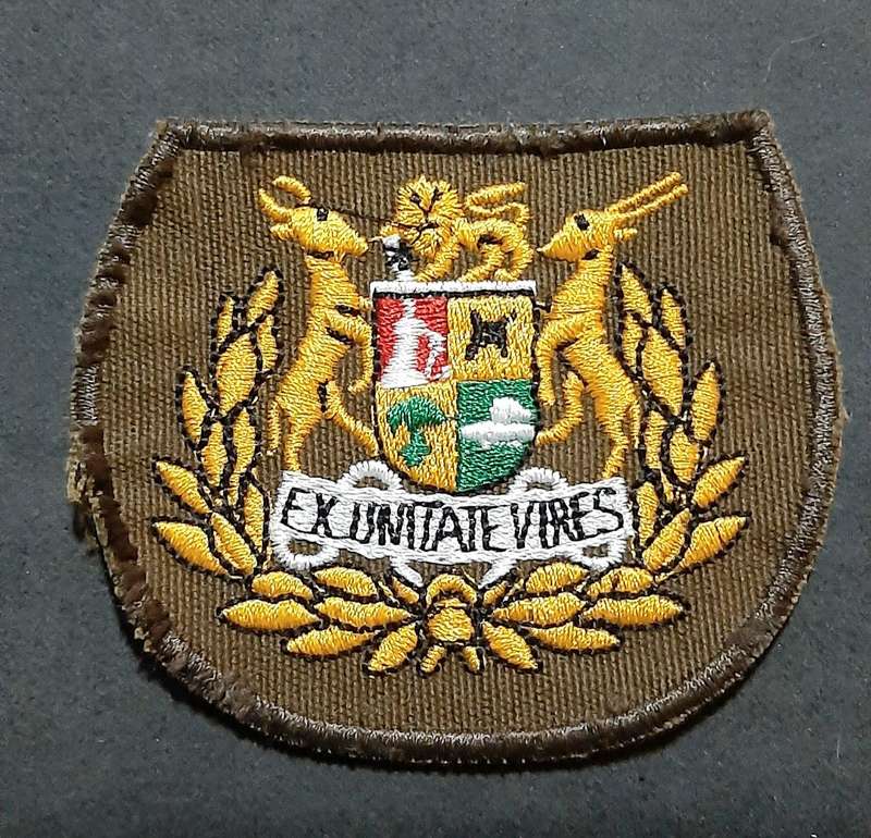 Border War: 1980s SADF Nutria Warrant Officer I Colour Embroidered Rank Insignia Pair( 2 x Pcs)