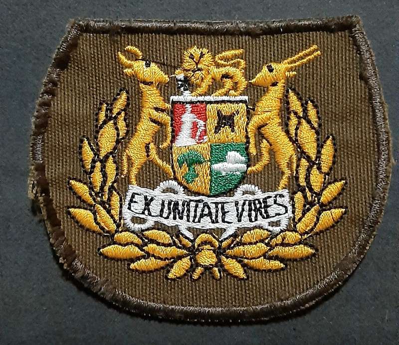 Border War: 1980s SADF Nutria Warrant Officer I Colour Embroidered Rank Insignia Pair( 2 x Pcs)