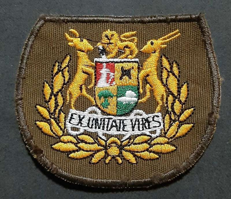 Border War: 1980s SADF Nutria Warrant Officer I Colour Embroidered Rank Insignia Pair( 2 x Pcs)