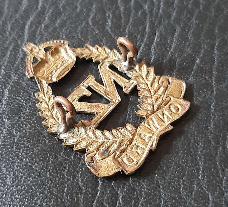 WW1: (ANZAC) New Zealand Military Forces Brass Cap Badge (Lugs Intact).