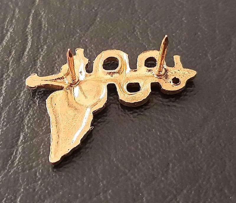 RARE: 1980s / 1990s SAMS 'Recce' 7 Medical Batt. Metal Operator's Badge w/ Pins .