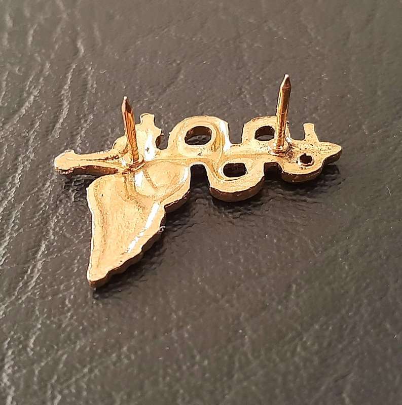 RARE: 1980s / 1990s SAMS 'Recce' 7 Medical Batt. Metal Operator's Badge w/ Pins .