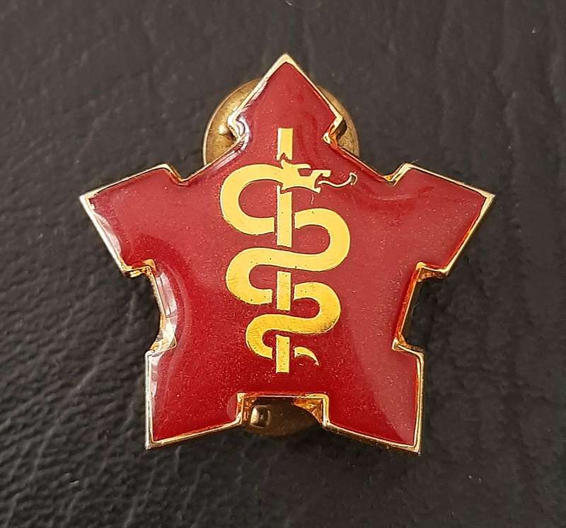 RARE- Border War 1980s : SAMS Command Sergeant-Major Lucite & Metal R/F  Collar Badge x1 (Pins).