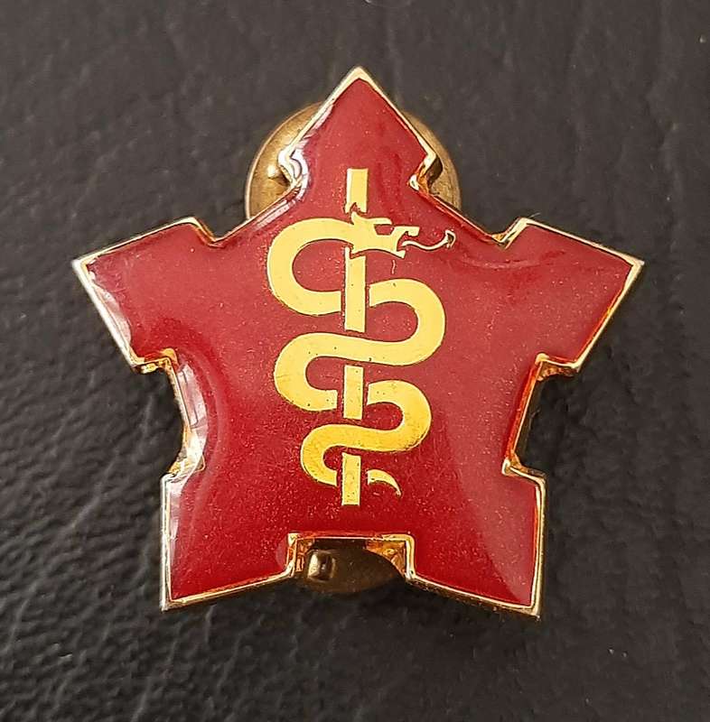 RARE- Border War 1980s : SAMS Command Sergeant-Major Lucite & Metal R/F  Collar Badge x1 (Pins).