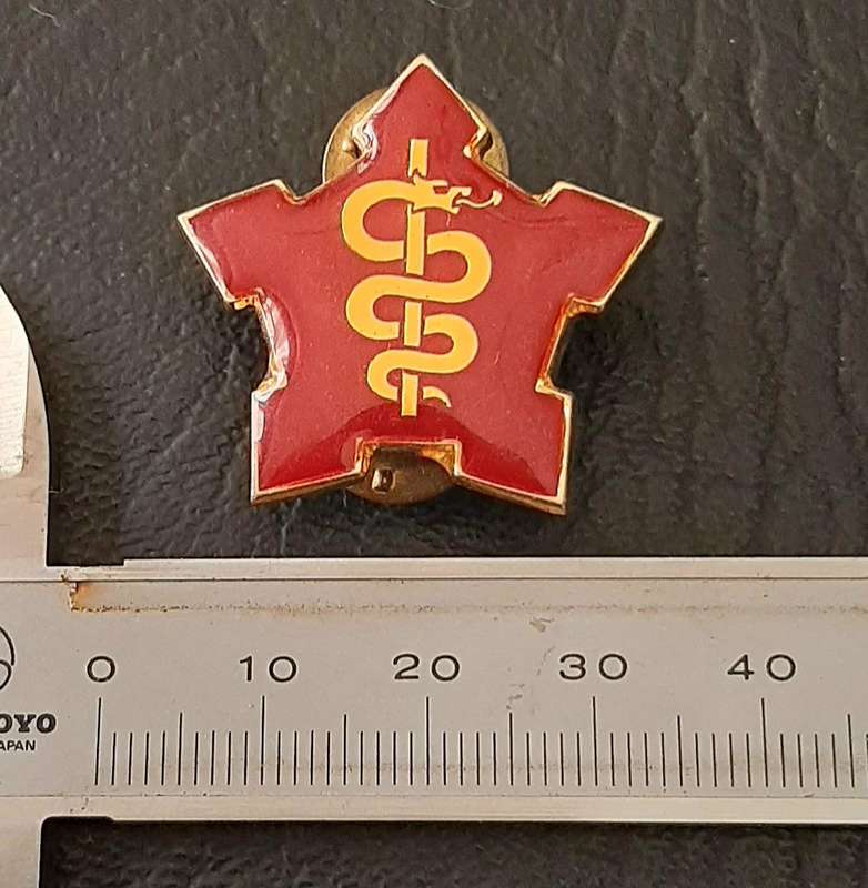 RARE- Border War 1980s : SAMS Command Sergeant-Major Lucite & Metal R/F  Collar Badge x1 (Pins).