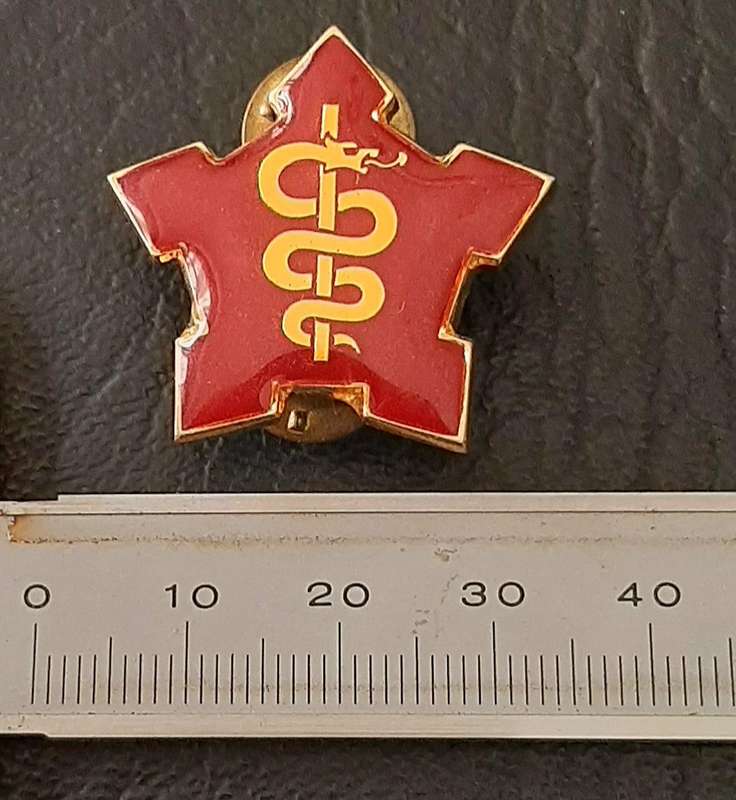 RARE- Border War 1980s : SAMS Command Sergeant-Major Lucite & Metal R/F  Collar Badge x1 (Pins).