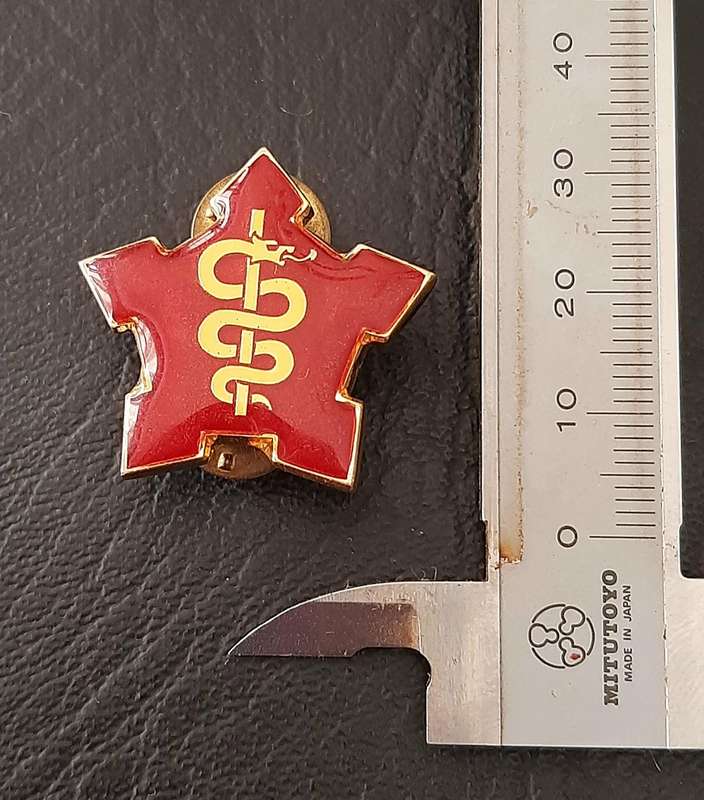RARE- Border War 1980s : SAMS Command Sergeant-Major Lucite & Metal R/F  Collar Badge x1 (Pins).