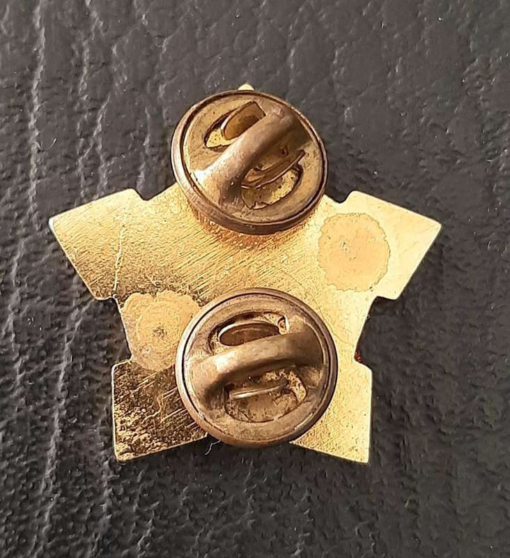RARE- Border War 1980s : SAMS Command Sergeant-Major Lucite & Metal R/F  Collar Badge x1 (Pins).