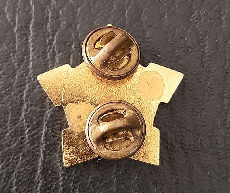RARE- Border War 1980s : SAMS Command Sergeant-Major Lucite & Metal R/F  Collar Badge x1 (Pins).