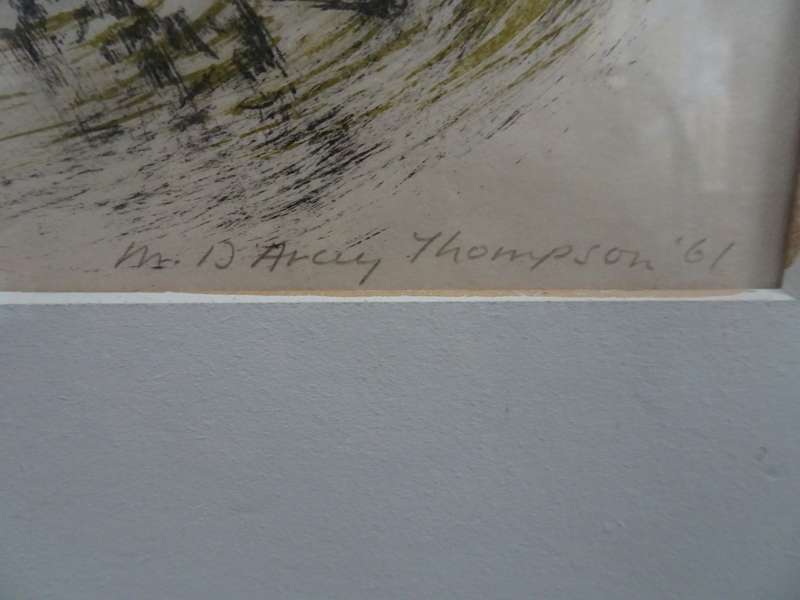 Beautifull Lithograph "Winnowing corn Basutoland" By Artist Molly D'Arcy Thompson - 1908 - 2010