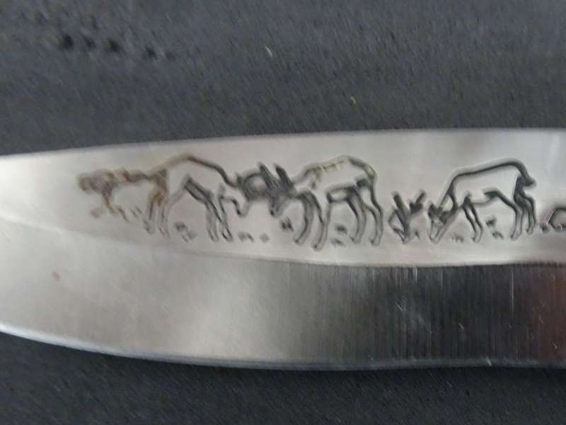 Fantastic "Surgical Steel" Torro Model AS1004 Hunter Knife In Original Leather Sheath