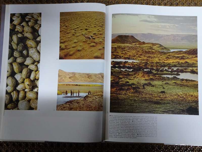 South-West : A Look at South-West Africa- Land of strange enchantment - See Description