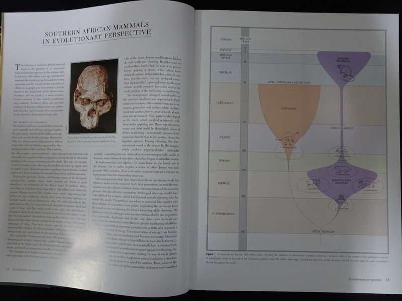 The Complete Book of Southern African Mammals by Gus Mills and Lex Hes