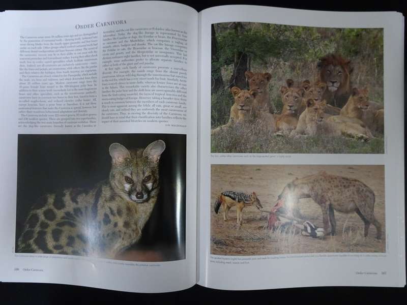 The Complete Book of Southern African Mammals by Gus Mills and Lex Hes