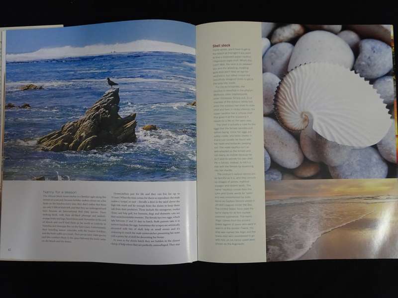 The Overberg Book by Karena Du Plessis