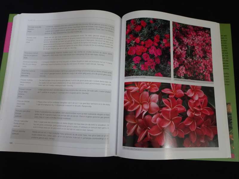 Die Nancy Gardiner Tuinboek Praktiese Inspirasie - In Goeie Kondisie