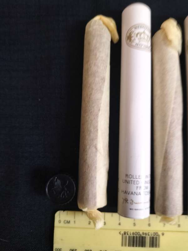 Two Medallion Petit Corona Cigars in Their Aluminum Tubes - From Havana Tobacco -Good Condition