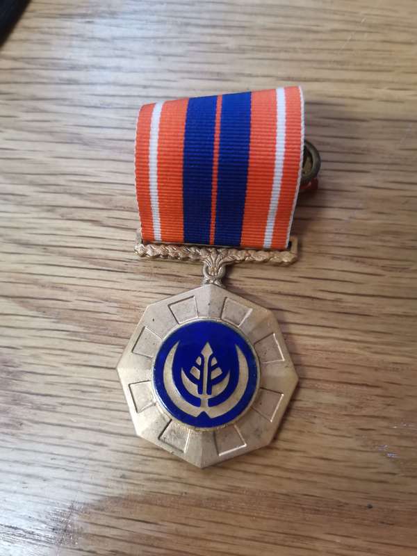 SADF SA37 Pro Patria Medal no 109291 in Excellent Condition