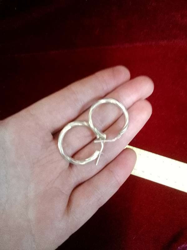 Stunning Sterling Silver Hoop Earrings - Marked 925 - 3.0 Grams -Good Condition