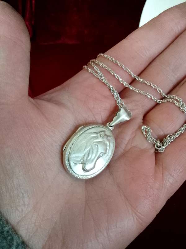 Stunning Vintage Sterling Silver 925 Horse Locket And Chain 9.7g- Good Condition