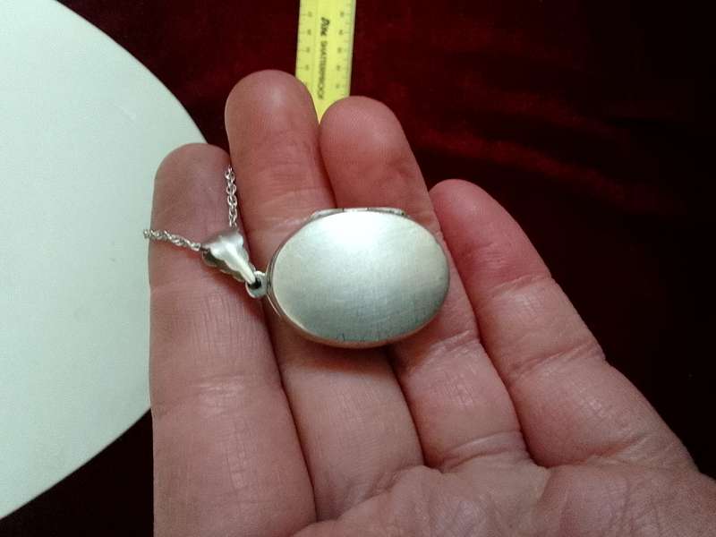Stunning Vintage Sterling Silver 925 Horse Locket And Chain 9.7g- Good Condition