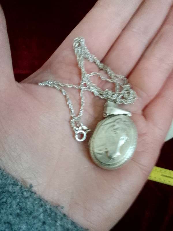 Stunning Vintage Sterling Silver 925 Horse Locket And Chain 9.7g- Good Condition