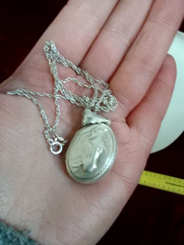 Stunning Vintage Sterling Silver 925 Horse Locket And Chain 9.7g- Good Condition