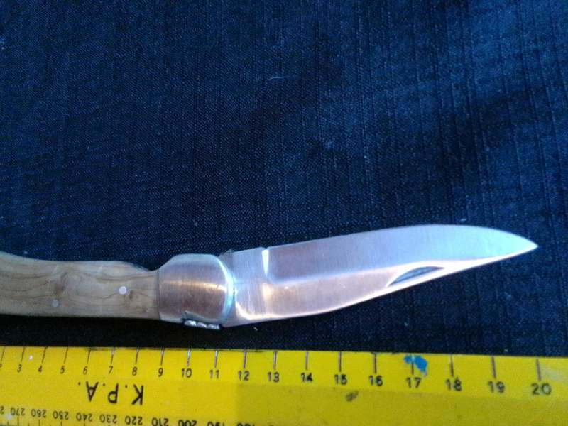 Beautiful Pocket Knife with Wooden Handle in Excellent Condition L: 195mm