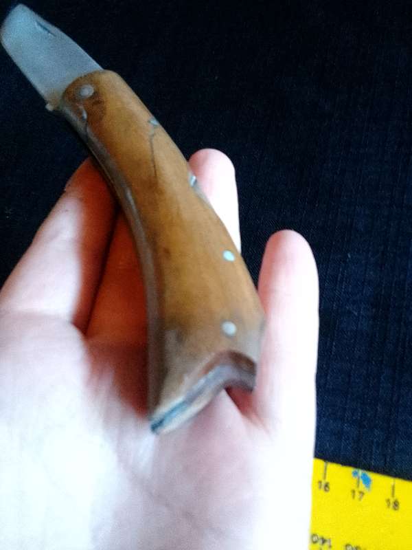 Beautiful Pocket Knife with Wooden Handle in Excellent Condition L: 190mm