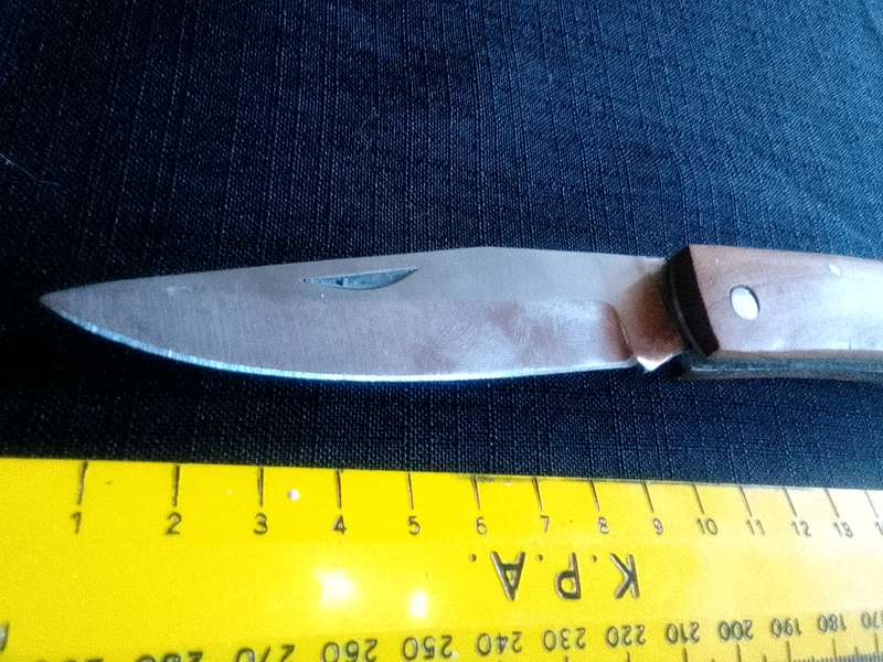 Beautiful Pocket Knife with Wooden Handle in Excellent Condition L:205mm