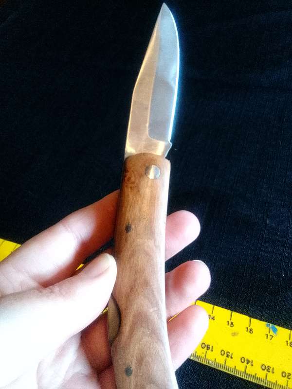 Beautiful Pocket Knife with Wooden Handle in Excellent Condition L:205mm