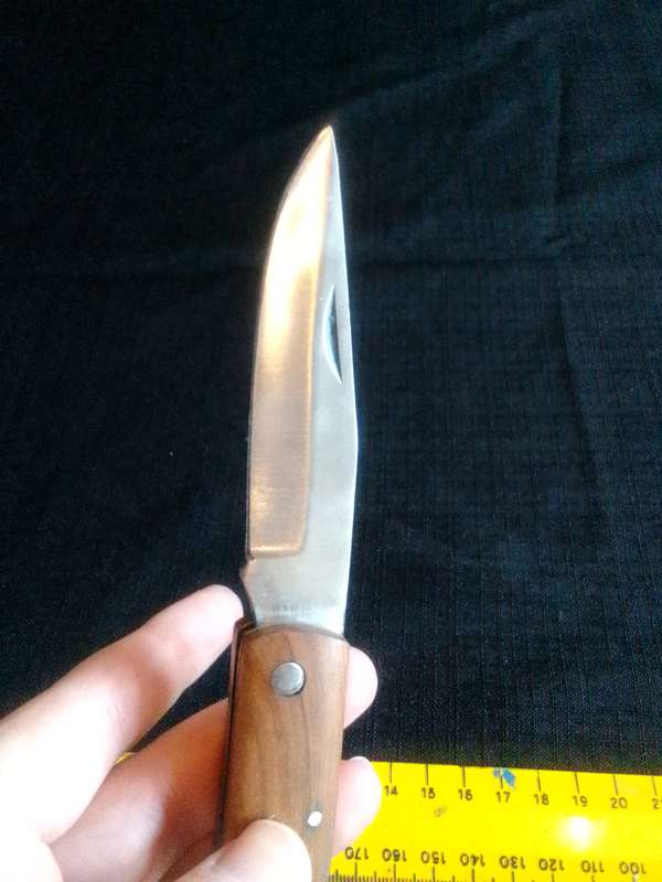 Beautiful Pocket Knife with Wooden Handle in Excellent Condition L:205mm