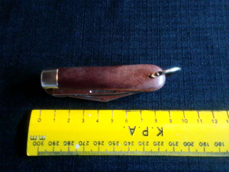 Stunning Stainless Steel Inox Pocket Knife with Wooden Handle in Good Condition L:145m -Stag Ireland