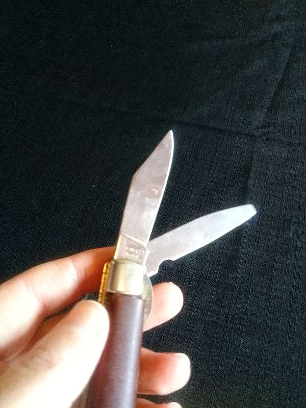 Stunning Stainless Steel Inox Pocket Knife with Wooden Handle in Good Condition L:145m -Stag Ireland